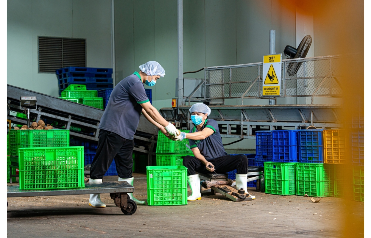 Ảnh Profile Betrimex