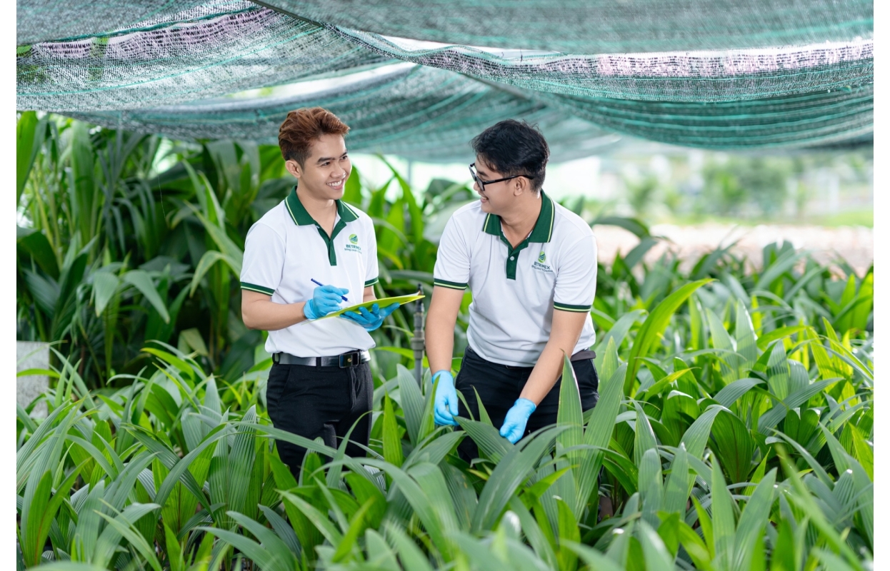 Ảnh Profile Betrimex