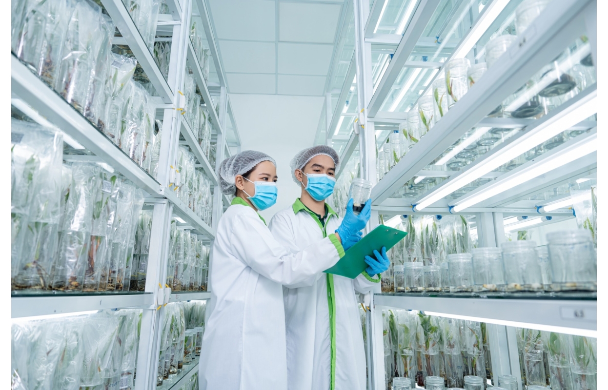 Ảnh Profile Betrimex