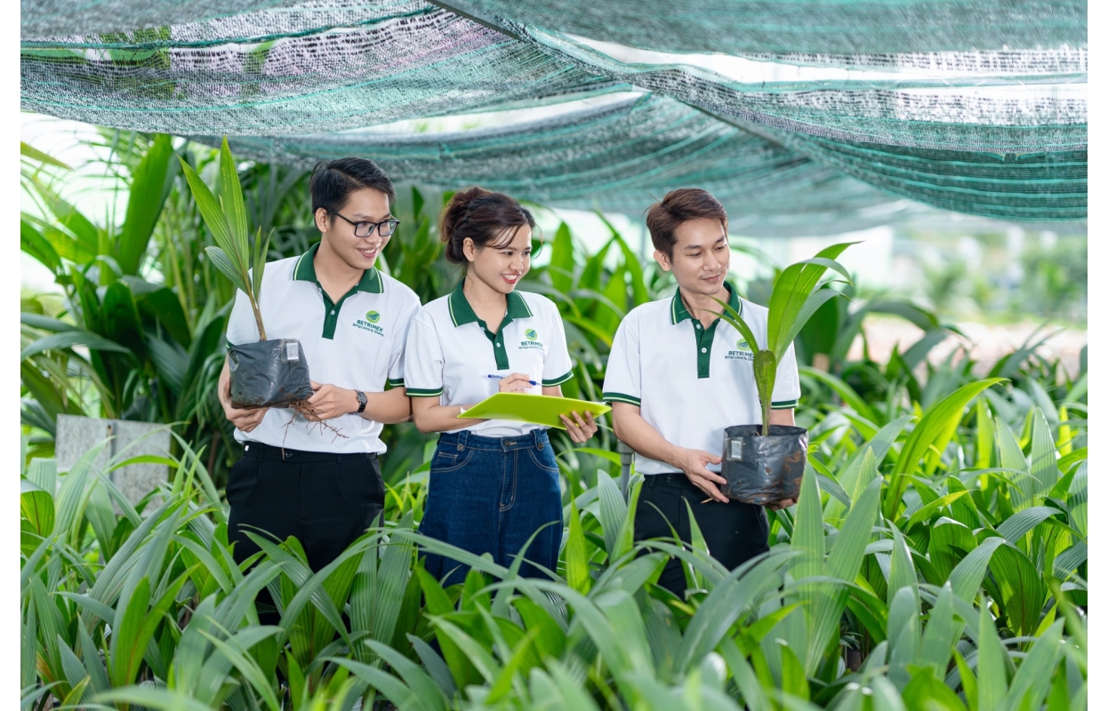 Ảnh Profile Betrimex