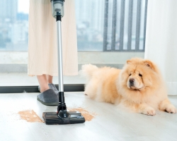 Chụp Ảnh Sản Phẩm EASYR