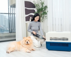 Chụp Ảnh Sản Phẩm EASYR