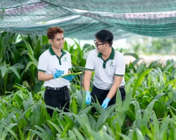 Ảnh Profile Betrimex