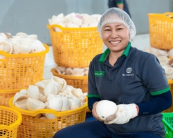 Ảnh Profile Betrimex