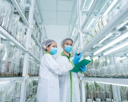 Ảnh Profile Betrimex