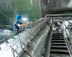 Ảnh Profile Betrimex