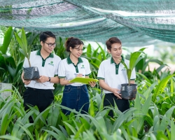 Ảnh Profile Betrimex